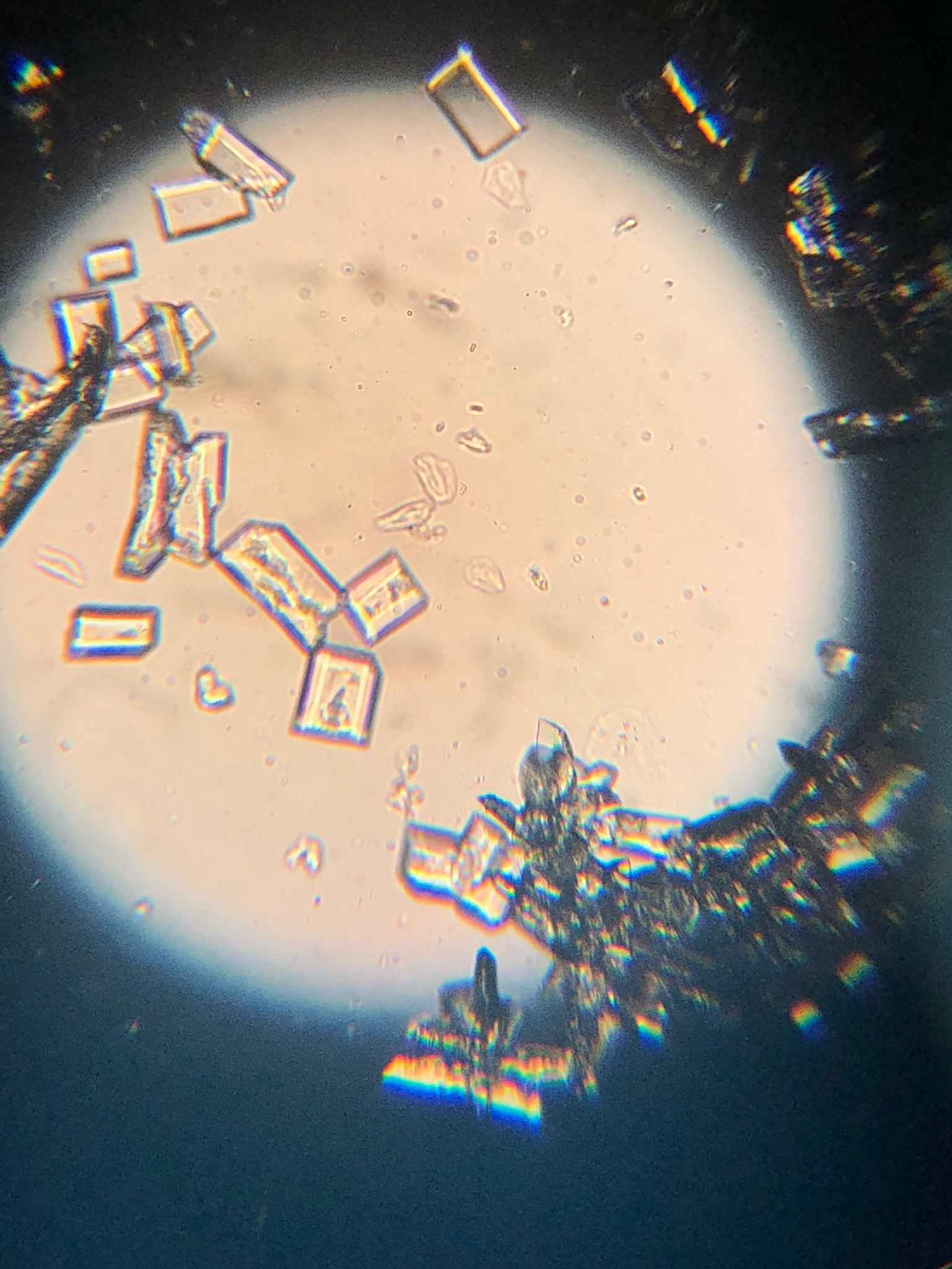 Image Title My Image