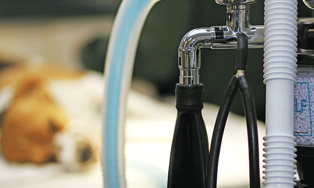 Image Title My Image