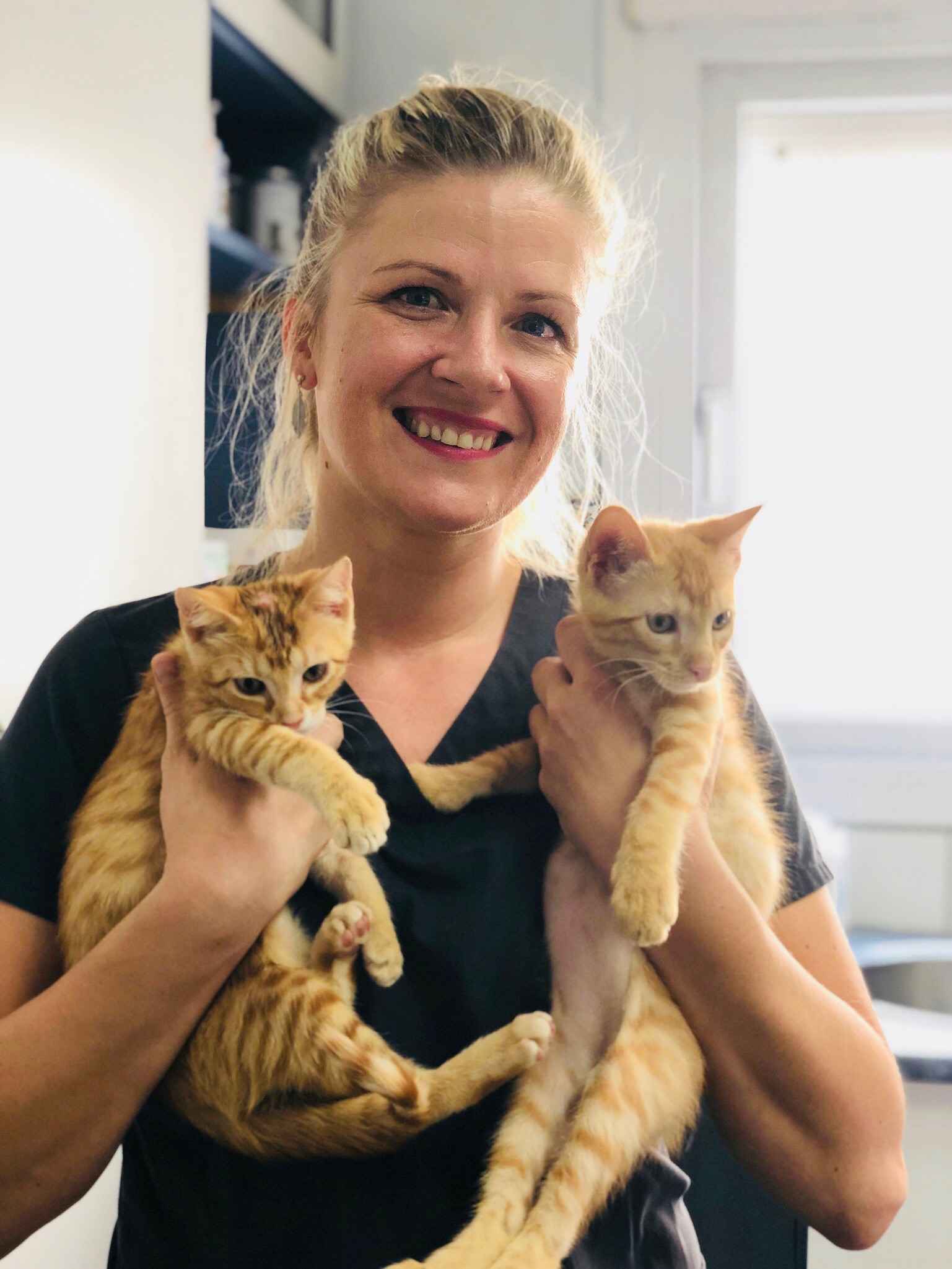 Image Title My Image