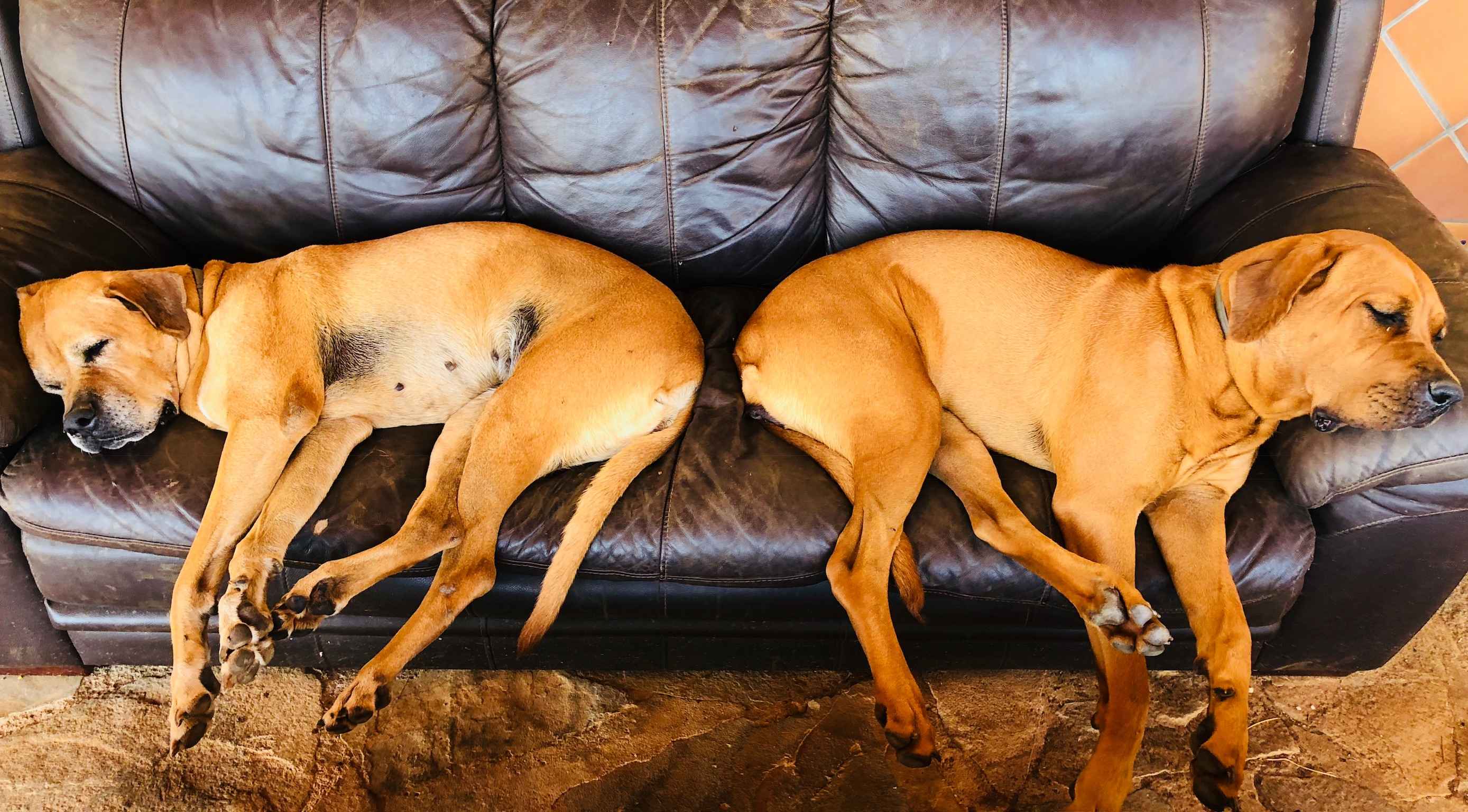 Image Title My Image