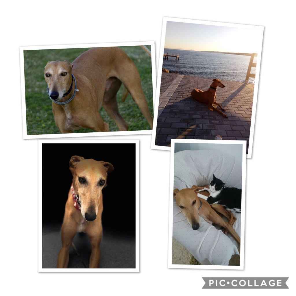 Image Title My Image