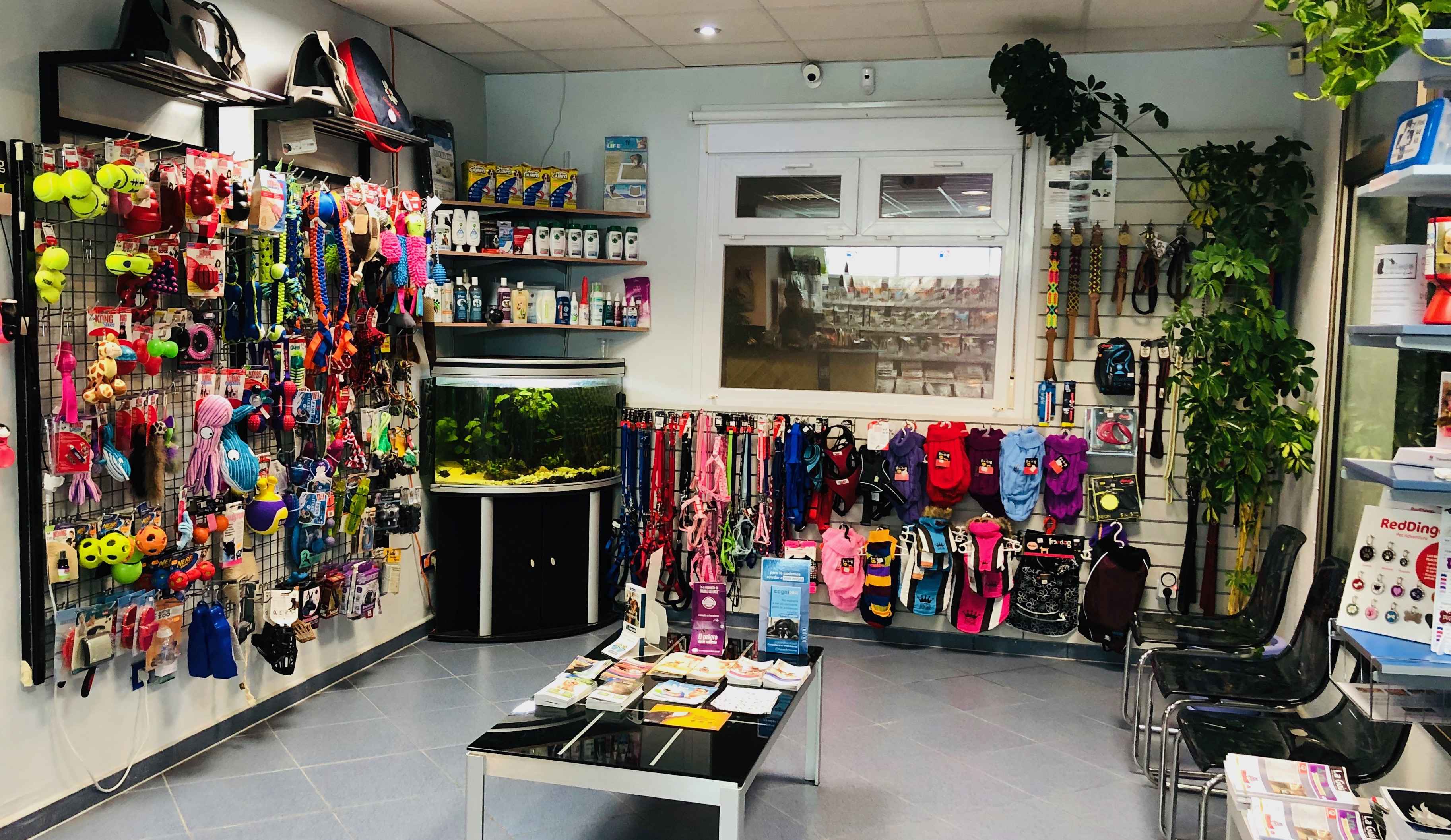 Image Title My Image